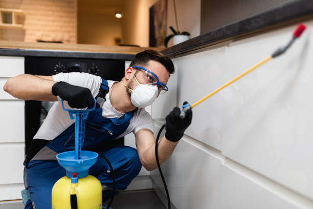 Best Best Pest Control Companies  in Dorneyville, PA