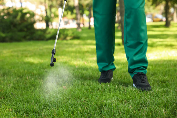 Trusted Dorneyville, PA Pest Control Experts