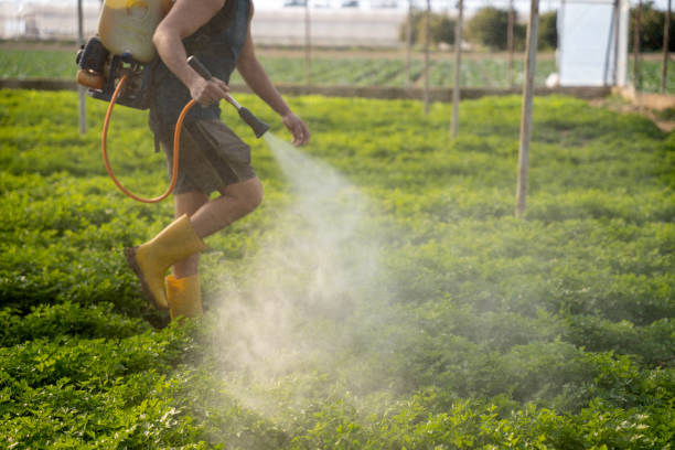 Best Affordable Pest Control Services  in Dorneyville, PA
