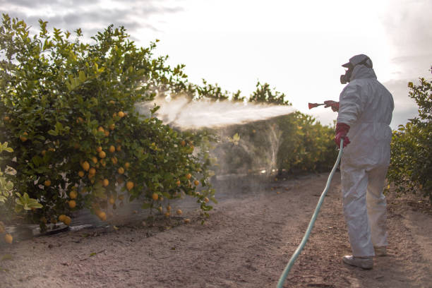 Best Pest Control for Businesses  in Dorneyville, PA