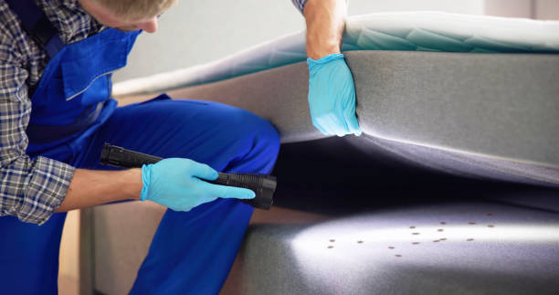 Wasp Removal Services in Dorneyville, PA