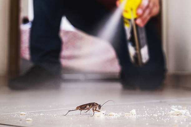 Best Mosquito Control Services  in Dorneyville, PA