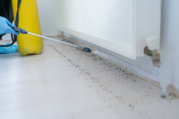 Best Exterminator Services  in Dorneyville, PA